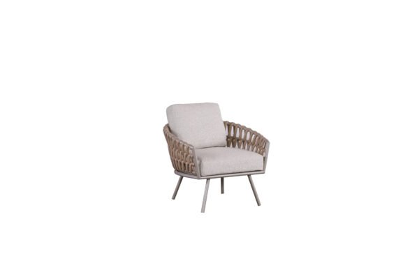 ZT-SS12 - Image 3