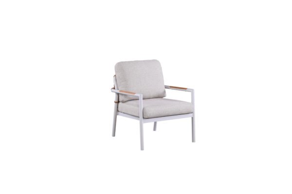 ZT-SS17 - Image 2
